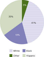 Figure 3. Pie chart showing percentage of adults at below basic health literacy, by race/ethnicity: 2003. Text version of the chart follows.